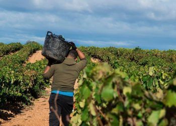 El Triatlón MD de La Rioja continúa «gafado» y no verá la luz hasta 2023