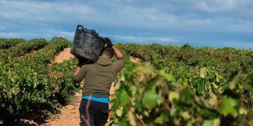 El Triatlón MD de La Rioja continúa «gafado» y no verá la luz hasta 2023